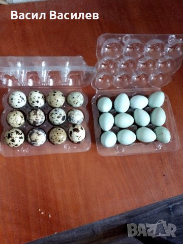Продавам яйца от пъдпъдъци , снимка 1 - други­ - 40853371