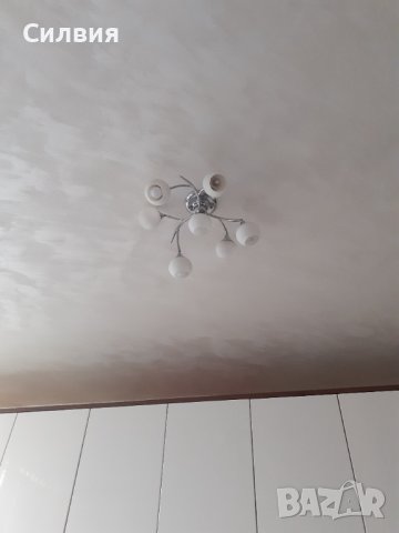 Полилей, снимка 1