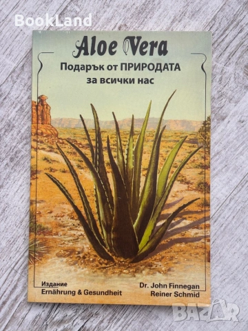Aloe Vera | Подарък от природата за всички нас 