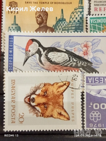 Стари пощенски марки от цял свят смесени САМОЛЕТИ, ЖИВОТНИ, СПОРТ за КОЛЕКЦИЯ 51583, снимка 7 - Филателия - 53231180