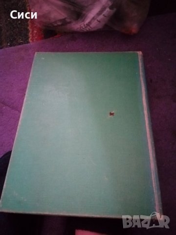 Мой путь к животным, снимка 2 - Други - 37320155