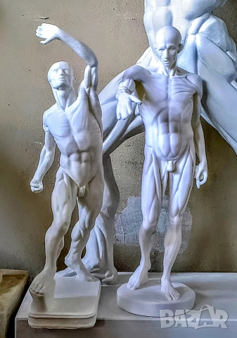 Геометрични Форми за Рисуване / Растителни / Анатомични Форми за Рисуване, снимка 18 - Картини - 50774674