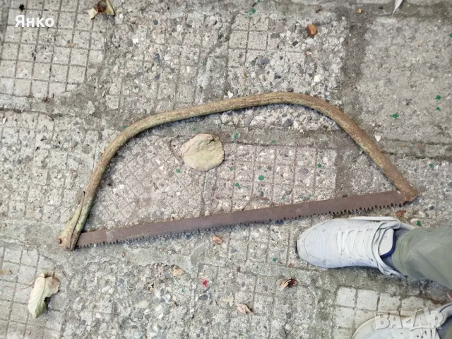 Бичкия, снимка 1