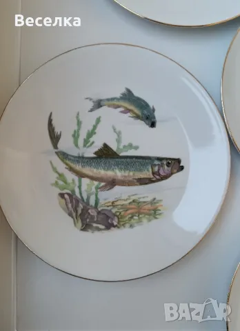 Порцеланови чинии с декор различни риби 