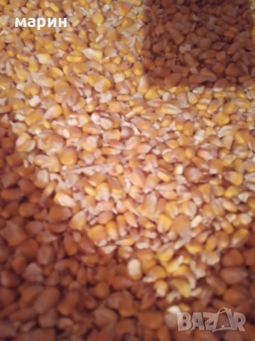 Продавам на Колхозен пазар царевица жито ечемик   пшеница