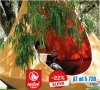 Висяща  люлка BOCA - гнездо Outgoing Camping Comfort, снимка 1 - Градински мебели, декорация  - 37576561