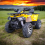 ATV 200cc MaxMotors Shark