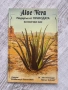 Aloe Vera | Подарък от природата за всички нас , снимка 1