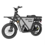 Електрически велосипед GT53 CARGO EBIKE, 1000W, 48V, 23.4AH, снимка 1