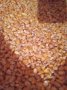Продавам на Колхозен пазар царевица жито ечемик   пшеница, снимка 1 - За селскостопански - 26107934