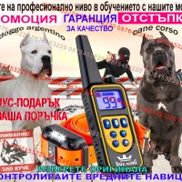 Електронен нашийник , снимка 4 - За кучета - 39732716