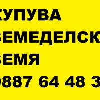 Купувам земеделска земя в община Кочериново, снимка 1 - Земеделска земя - 43545846