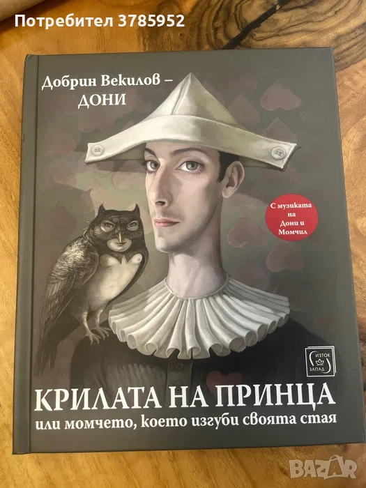 Крилата на принца, или момчето, което изгуби своята стая, снимка 1