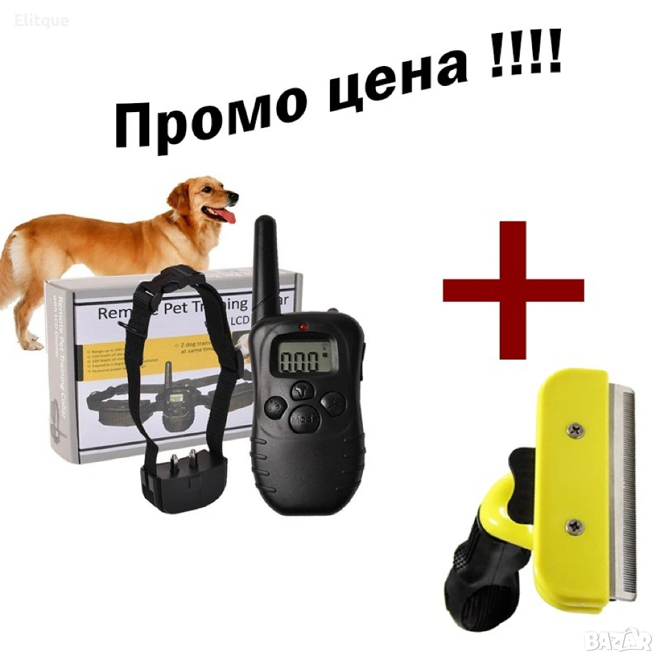 2в1 Дресура и грижа , снимка 1