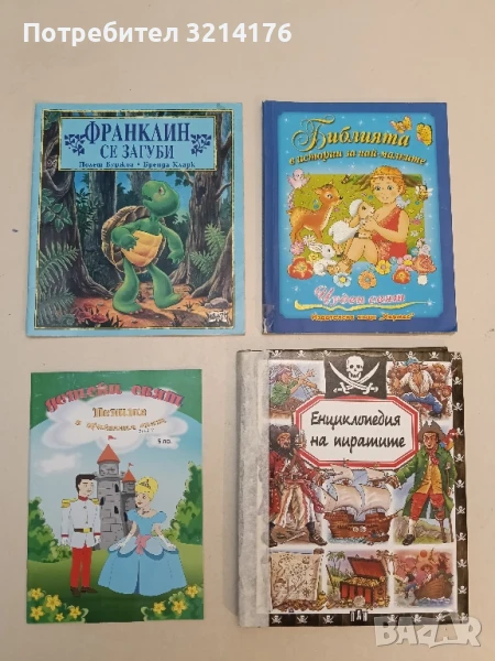 Франклин се загуби - Полет Буржоа, Бренда Кларк, снимка 1