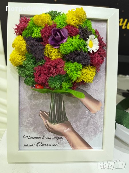 Рамка с естествен скандинавски мъх, снимка 1