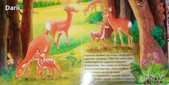 Защо зайчето има толкова дълги уши ?, снимка 2 - Детски книжки - 35488421