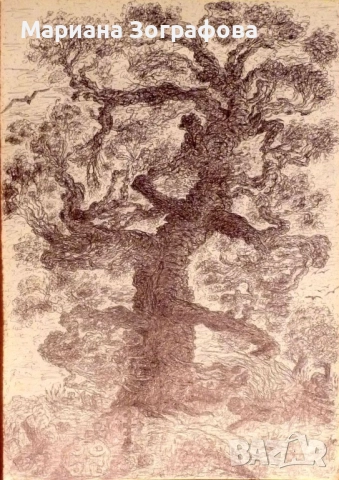 Картина-офорт, худ. Т. Манолов 1988 г., - Графики - худ. М. Зографова, - и Голяма дървена рамка, снимка 16 - Антикварни и старинни предмети - 49137840