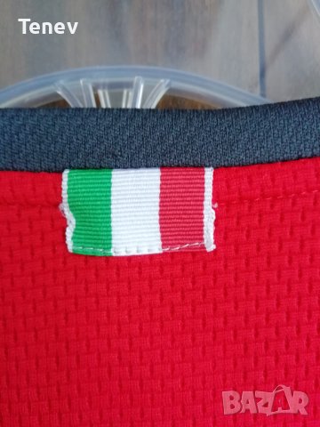 Italy Puma оригинална вратарска тениска фланелка Италия национален отбор Пума 2008/2009 блуза L, снимка 10 - Тениски - 38106130