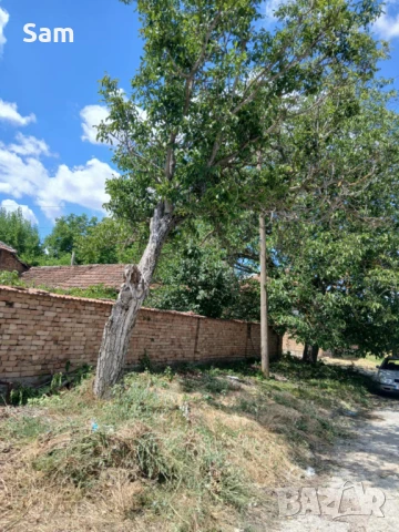 Продава къща , гр.Тръстеник, снимка 8 - Къщи - 51074805