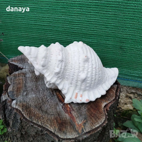 6261 Ретро декоративна фигура Рапан мидена черупка