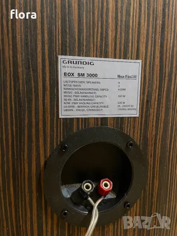 🇩🇪 GRUNDIG BOX SM 3000 - ПРОМО ⚠️⚠️⚠️, снимка 15 - Тонколони - 49147142