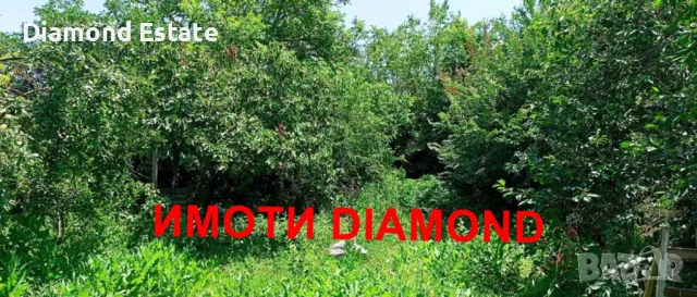 Двуетажна къща в село Ябълково общ. Димитровград, снимка 9 - Къщи - 48529105