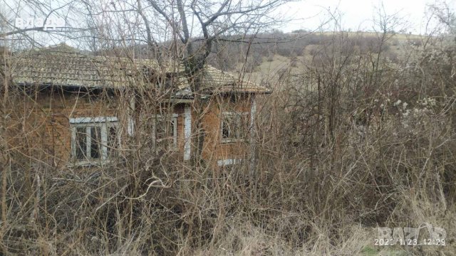 Осиково дворно място с къща