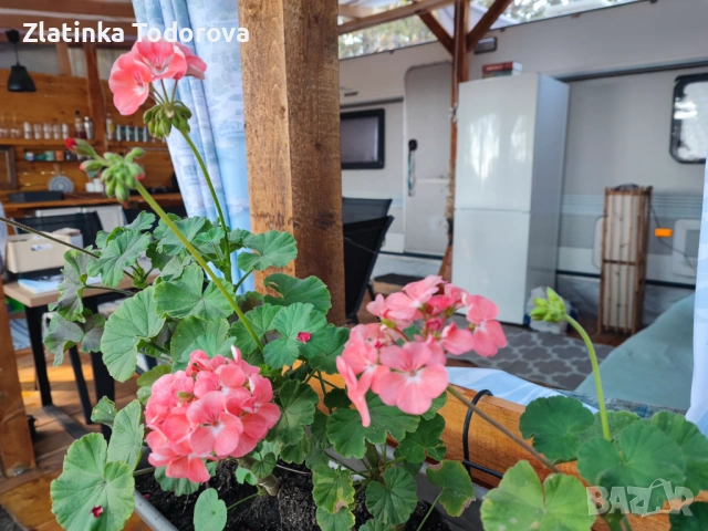 Каравани на къмпинг Градина, снимка 10 - Каравани под наем - 53190422