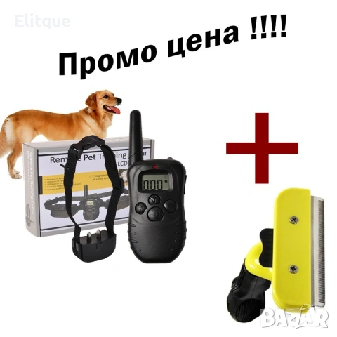 2в1 Дресура и грижа 