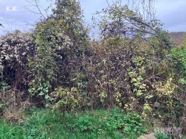 Парцел на 5 км.от Троян., снимка 5 - Парцели - 47823830