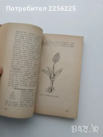 Наши билки 1-3, снимка 5 - Специализирана литература - 49877558