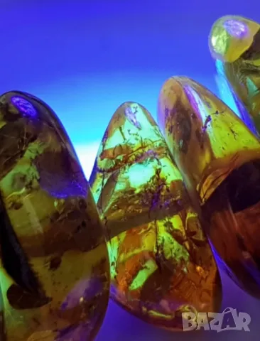 Балтийска кехлибарена огърлица. 💯 % ОРИГИНАЛ AMBER !, снимка 9 - Колиета, медальони, синджири - 49204454