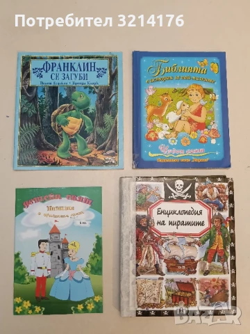 Франклин се загуби - Полет Буржоа, Бренда Кларк