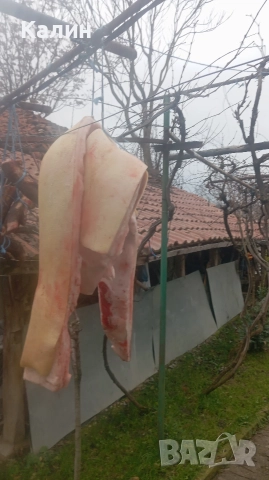 продава се месо и сланина , снимка 3 - Домашни продукти - 52904013