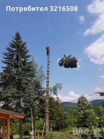 Косене на трева, почистване  на дворове парцели ,Рязане на дървета кастрене , снимка 3 - Други услуги - 34698765