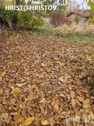 УПИ в село Крушево, на 5 км. от гр. Севлиево, снимка 8 - Парцели - 47321630
