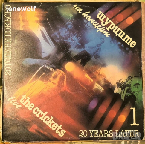 ЩУРЦИТЕ - 20 ГОДИНИ ПО-КЪСНО, снимка 2 - Грамофонни плочи - 53405127