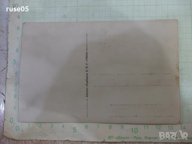 Снимка стара с приятели над града, снимка 2 - Колекции - 48017043