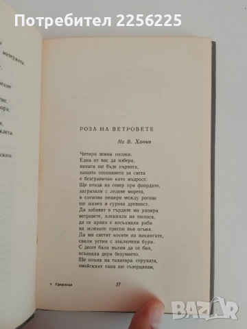 Грешница, снимка 6 - Българска литература - 51519433