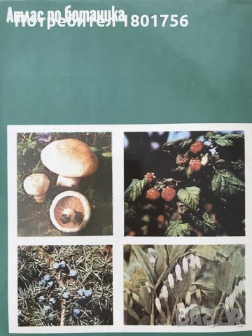 Атлас по ботаника - Славчо Петров, Емануил Паламарев, снимка 5 - Специализирана литература - 28699605