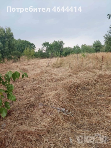 Къща село винище , снимка 6 - Къщи - 52328153