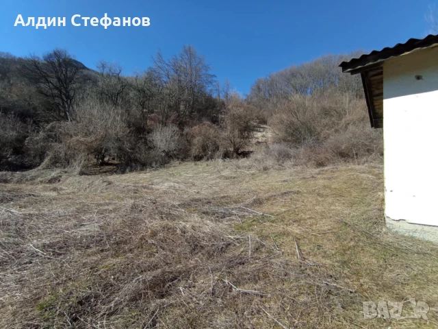 село Заселе Продавам голям парцел, снимка 3 - Парцели - 40489216