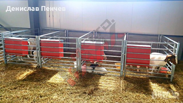 НОВО! Прегради за овце и кози , снимка 6 - За селскостопански - 39524028