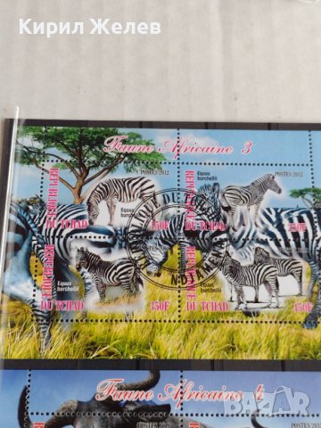 Пощенски марки  чиста комплектна серия ЖИВОТНИ поща Република Чад за колекция 29538, снимка 5 - Филателия - 37780459