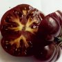 Семена за шоколадови домати, снимка 1 - Сортови семена и луковици - 27726759