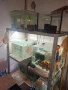 Продавам аквариомите по 50лв стила жители по 250лв, снимка 9