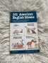 книги 101 американски английски идиоми, снимка 1 - Чуждоезиково обучение, речници - 38615651