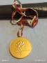 Спортен медал БФ ХУДОЖЕСТВЕНА ГИМНАСТИКА първо място рядък за КОЛЕКЦИЯ 52232, снимка 8