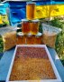 Пчелен прашец 2023 Мед Акация, Букет, Крем-Мед Прополис, снимка 1 - Пчелни продукти - 34558025